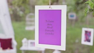 Poetry and Ponderings Book Trailer