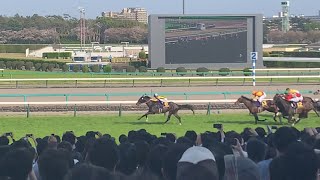 【現地映像】大歓声の皐月賞！衝撃のレコードタイム！ジャスティンミラノ！#皐月賞2024