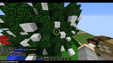 Minecraft Creative Showcase: Plot Tour!