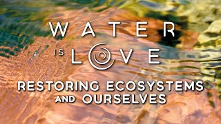 WATER is LOVE - Crowdfunding