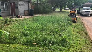 I transformed this overgrown lawn from worst to best in the neighborhood
