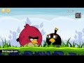 Egyptian Angry Birds طائر النهضة ايام الثورة 