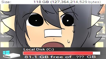 My Computer Needs Space (2025 Clip Dump)