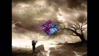 Gölhi̇sarli Şeref & Esme Deli̇ Rüzgar Esme Resimi