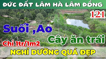 🟢Bán khu vườn nghỉ dưỡng, suối chảy ao cá vườn cây ăn trái Lâm Hà Lâm Đồng#datnghiduong #datlamdong