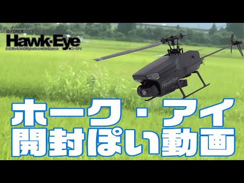 GｰFORCE HawkEye 開封ぽく色々と紹介します。注、少々間違あり
