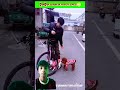 Tuk Tuk will sit in front today😳 #cat #dog #viralvideo #ytshorts #trendingshorts #shorts