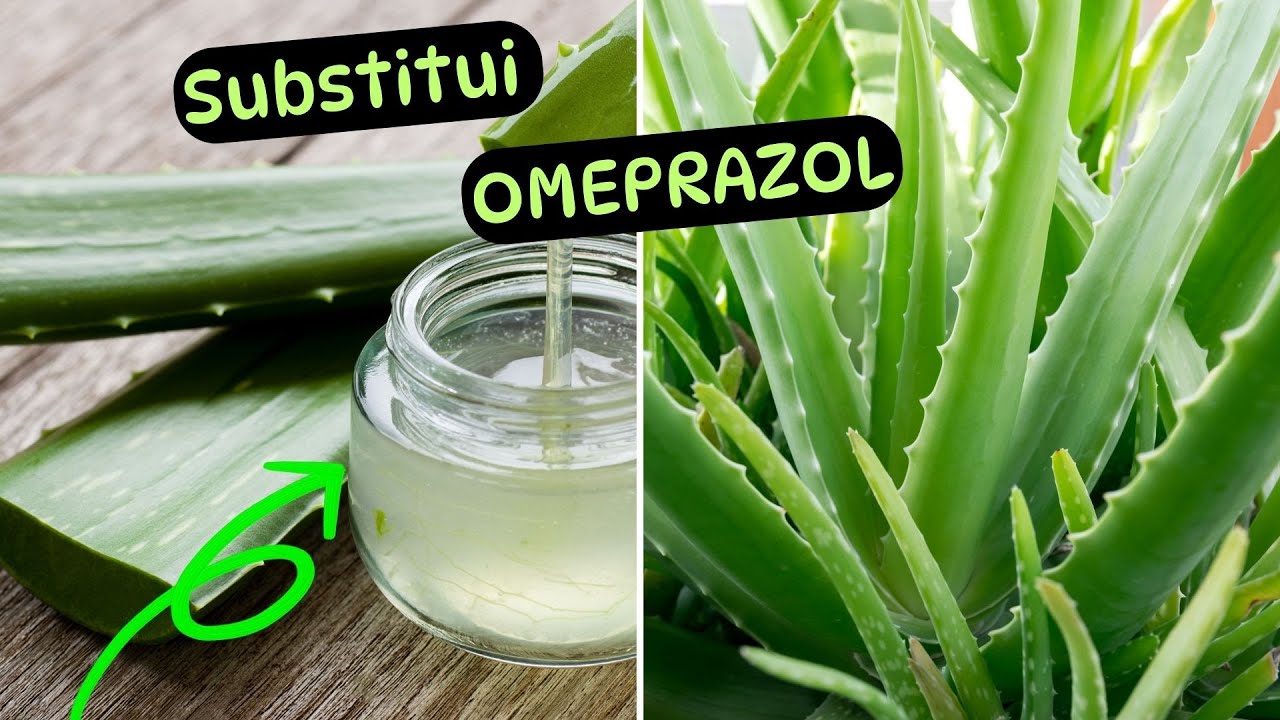 Produtos Naturais que substituem o OMEPRAZOL. Dr Prof Nelson Marques ...