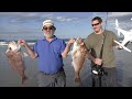 Condor Drone Fishing With Electric Reel Northland, New Zealand