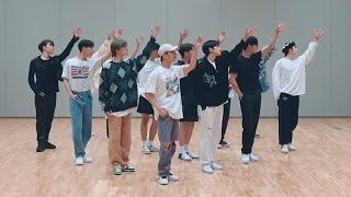 SEVENTEEN - Rock with you Dance Practice [Mirrored]