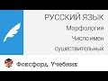 Русский язык. Морфология: Число имен существительных. Центр онлайн-обучения «Фоксфорд»