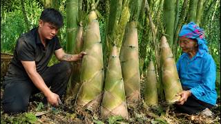Harvesting Giant Bamboo Shoots, Grandma Makes Traditional Dried Bamboo screenshot 3