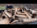 #288 FIREWOOD,Tossed vs Stacked, Storm Damage, and Leaves