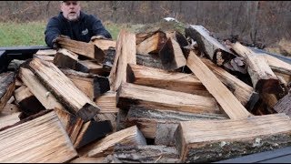 #288 FIREWOOD,Tossed vs Stacked, Storm Damage, and Leaves