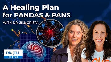 165: Dr.  Jill interviews Dr. Jill Crista on A Healing Plan for PANDAS and PANS