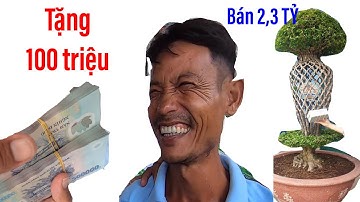Biếu 100 triệu cho chủ cũ, tri ân người làm ra cây cảnh độc đáo nhất VN II ĐỘC LẠ BÌNH DƯƠNG