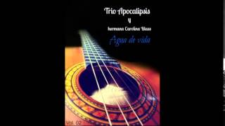 Video thumbnail of "Pedrito - Trio Apocalipsis"