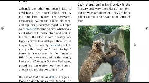 Unit 5 s - Little Cyclone: The Story of a Grizzly Cub