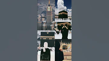 ليتني في سرب الحمام 
