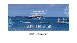 GALAPAGOS Liveaboard Scuba Diving Chapter 2 - CALIPSO 2024 Hammerhead Schools, Killer Whales, Molas