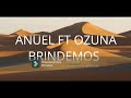 Anuel AA - Brindemos feat. Ozuna (Audio)