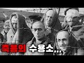 인간의 잔혹함의 끝, 죽음의 아우슈비츠 수용소