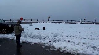 2016 03 19 S Estrela lagoa Comprida