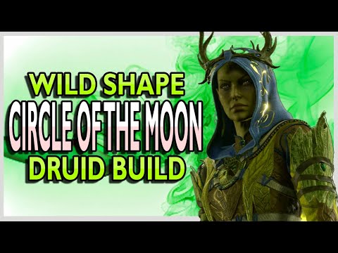 Circle of the Moon Druid the Best and Most Fun Class in Baldur's Gate 3