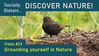 Grounding yourself in Nature - Discover Nature Episode 23