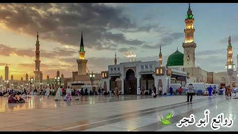 تلاوة خاشعة للشيخ صلاح البدير من الحرم النبوي الشريف 🍃