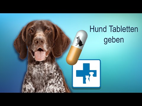 Video: Orale Medikamente Für Hunde: Was Ist Der Unterschied Zwischen Tabletten, Kautabletten, Flüssigkeiten Und Suspensionen?