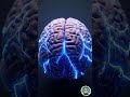 7 Days Without Sleep — What Happens to Your Brain #healthcare #science
