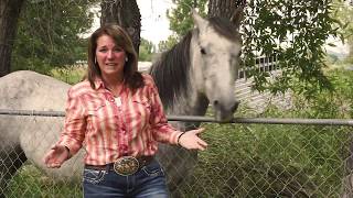 2840 W 3000 N, Rexburg Idaho 83440