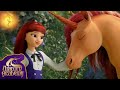 Finding Magical Unicorns at Unicorn Academy | Cartoons for Kids