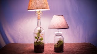 Make a Lamp Terrarium (Lamparium)