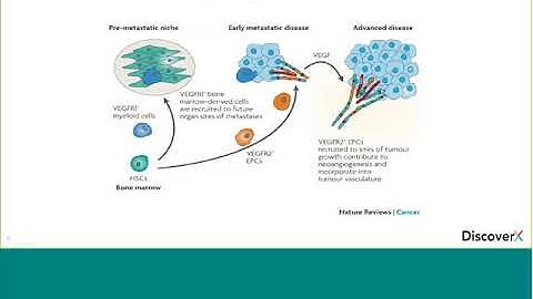Ready to use Potency Assays for Anti VEGF Drugs Like Bevacizumab, Ranibizumab & Aflibercept