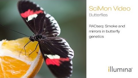 RADseq: Smoke and Mirrors in Butterfly Genetics