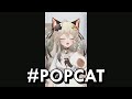 POPCAT (THAI Vtuber) แบบมีเสียง
