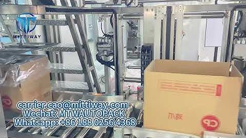 Bag In Box Inserter Machine Poly Bag Inserting Machine Frozen Meat Automatic Bag Inserter Machine