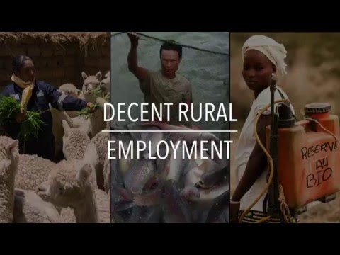 FAO Policy Series: Decent Rural Employment