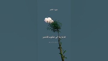 فدعا ربه أني مغلوب فانتصر  #أجمل حالات واتس #قرآن #تلاوة #quran#telawa