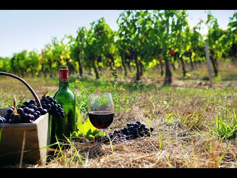 ემბიჯი ჯგუფი - MBG Group  real estate agency