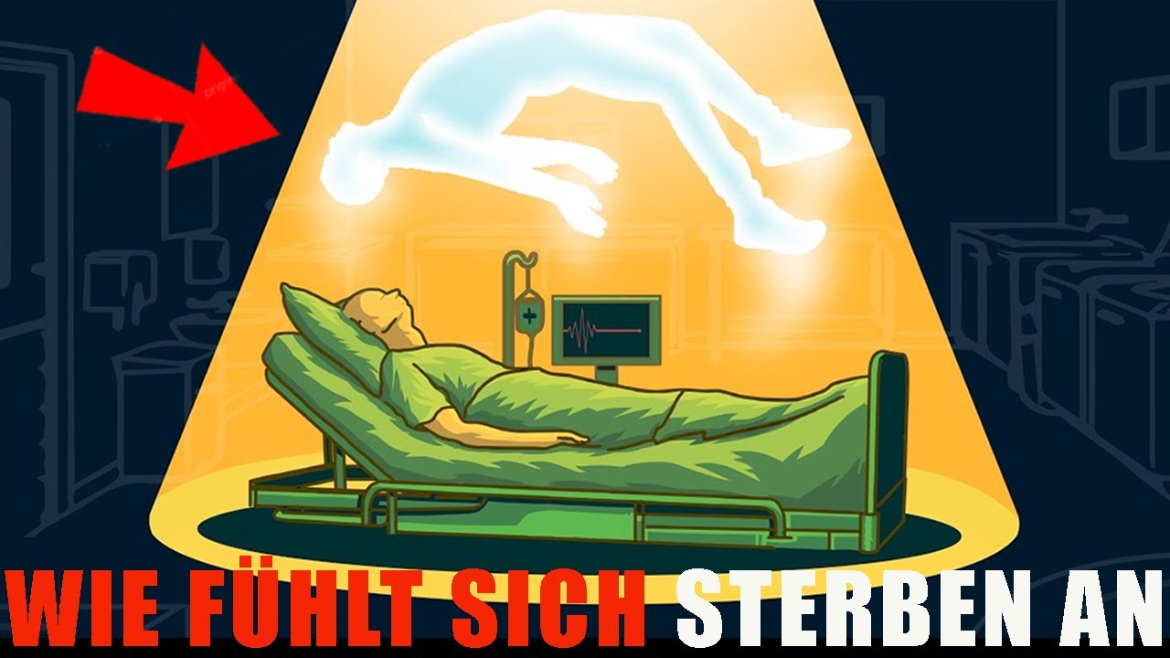 Was Passiert Wenn Man Ein Straßenschild Klaut Wissenschaftler erklären, was wirklich passiert, wenn man stirbt - YouTube