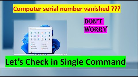 how to find computer serial number windows 10/11