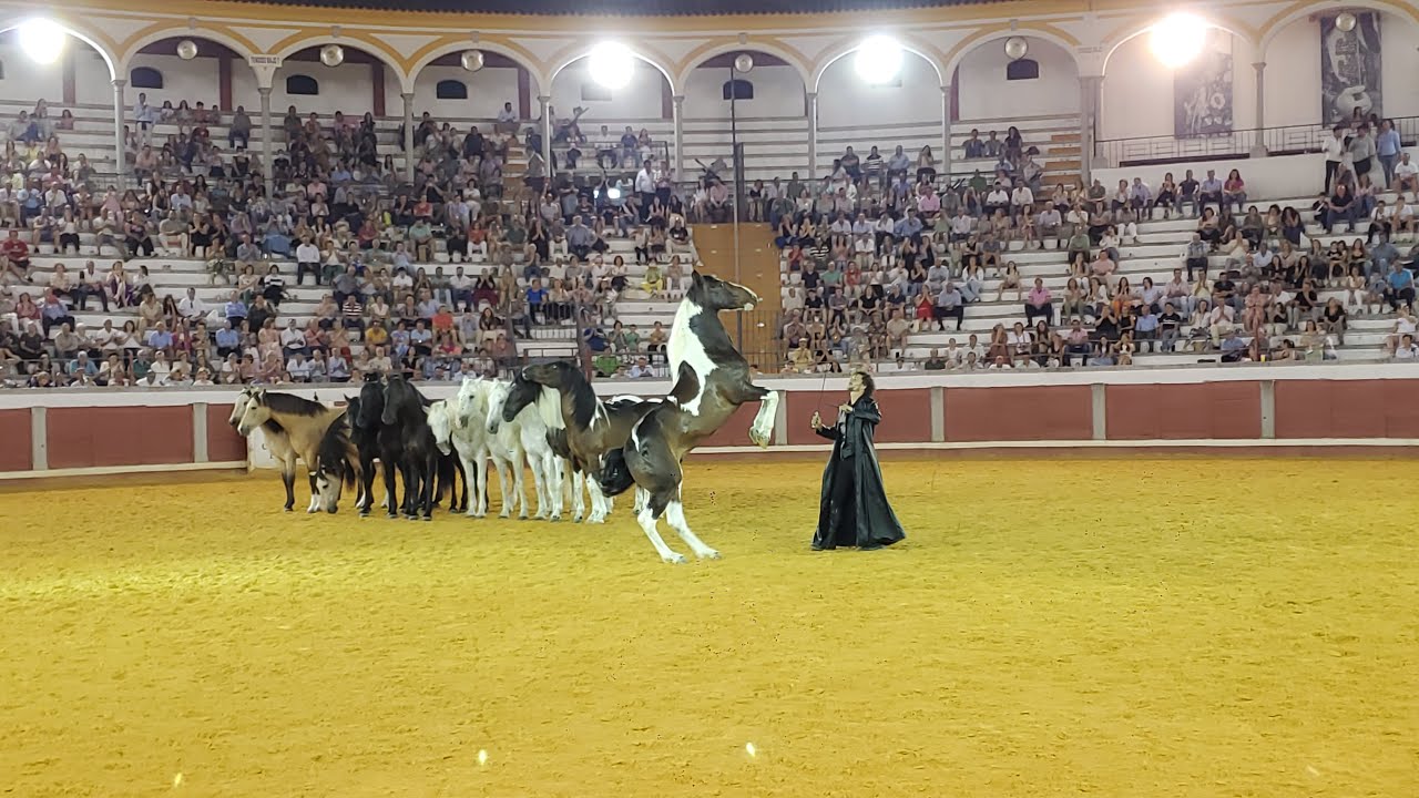 El domador de caballos Paco Martos en el espectáculo ecuestre benéfico de Pozoblanco