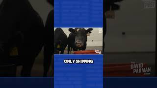 South Dakota farmer: “Tariffs are a disaster” #shorts