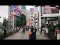 新宿駅前 3D  巨大猫   Shinjuku  Walk