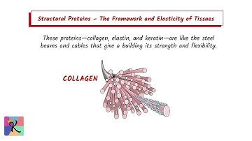 The Extracellular Matrix: The Cellular Landscape