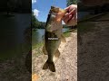 im addicted🥀 #fishing #bassfishing
