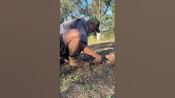 Bulb planting - human powered